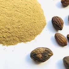 Myrobalan Seedless Powder